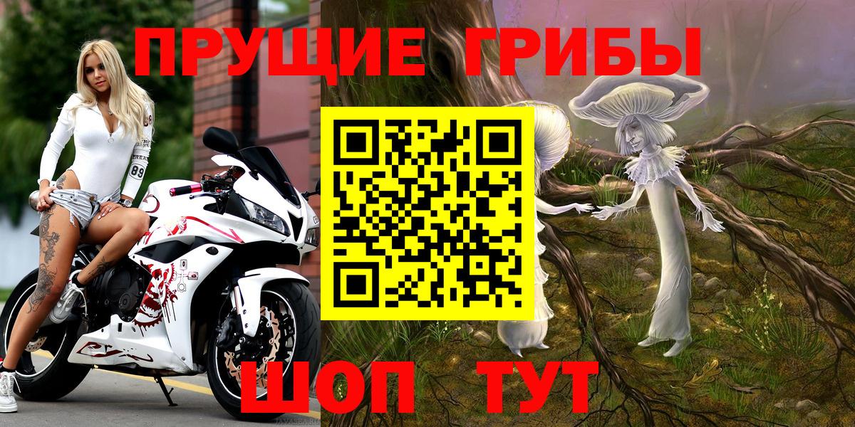 Галлюциногенные грибы MAGIC MUSHROOMS  Вход с VPN  Сухой Лог 